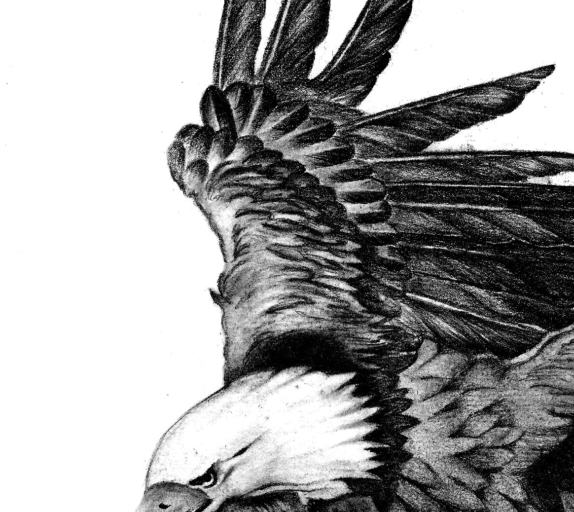 flying eagle tattoo