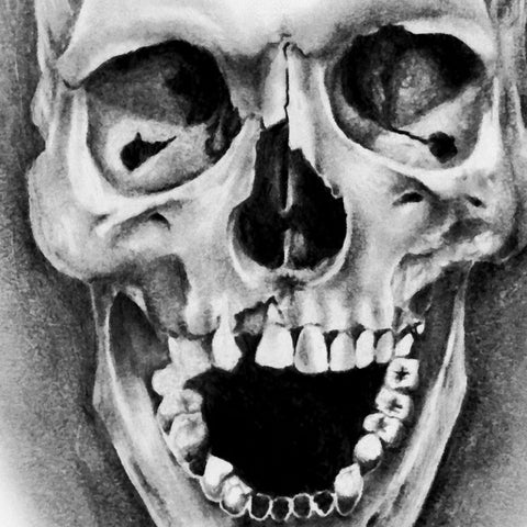 Buy Skull Clip Art, Hand Drawn Skull PNG, Realistic Skull Drawing, Vintage  Illustration, Halloween Graphics, Halloween Line Art Instant Download  Online in India - Etsy