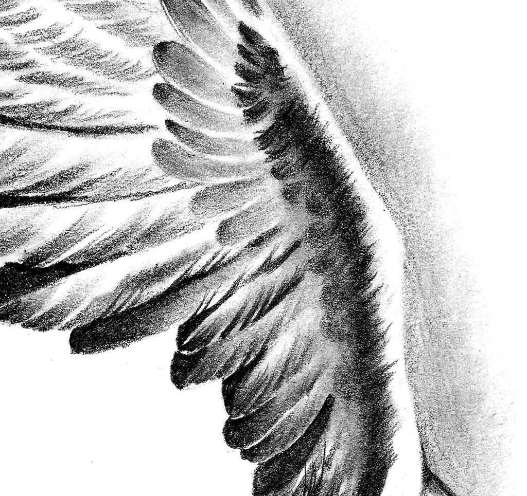 Realistic wing tattoo design digital download – TattooDesignStock