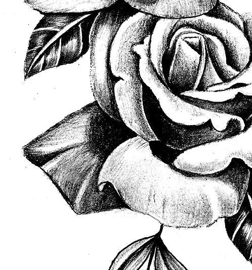 3 x Realistic rose tattoo design digital download – TattooDesignStock