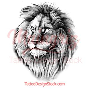 lion head tattoos